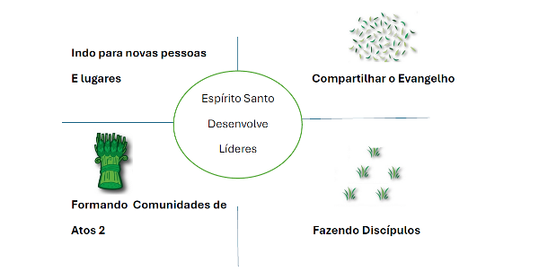 4 fields kingdom growth process